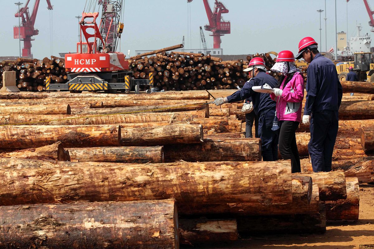 進口木材清關全流程：從資質準備到檢疫重點